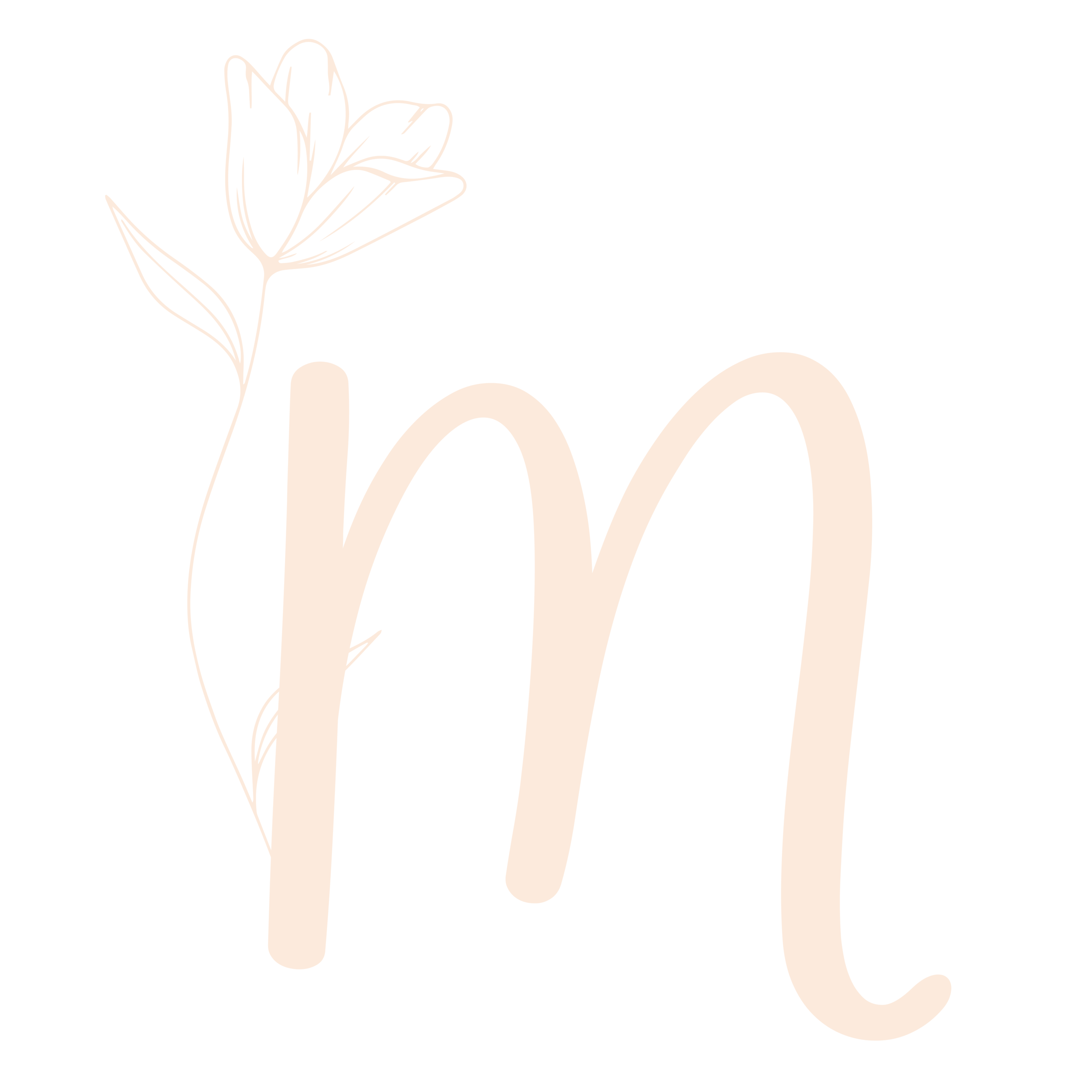Studio Mirabelle